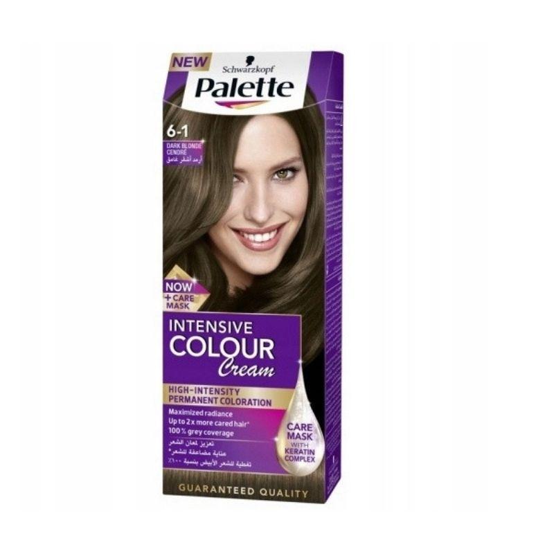 Palette farba 6-1 n6-dark blonde cendre